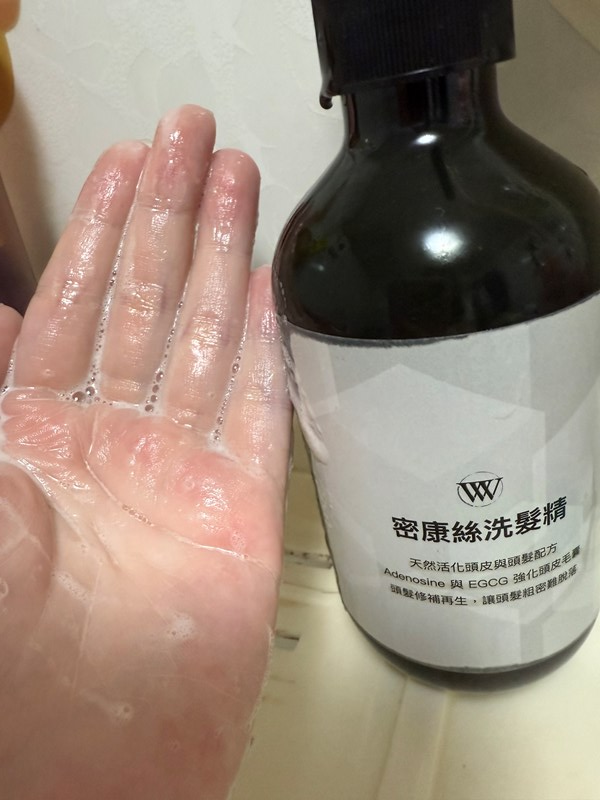 試用